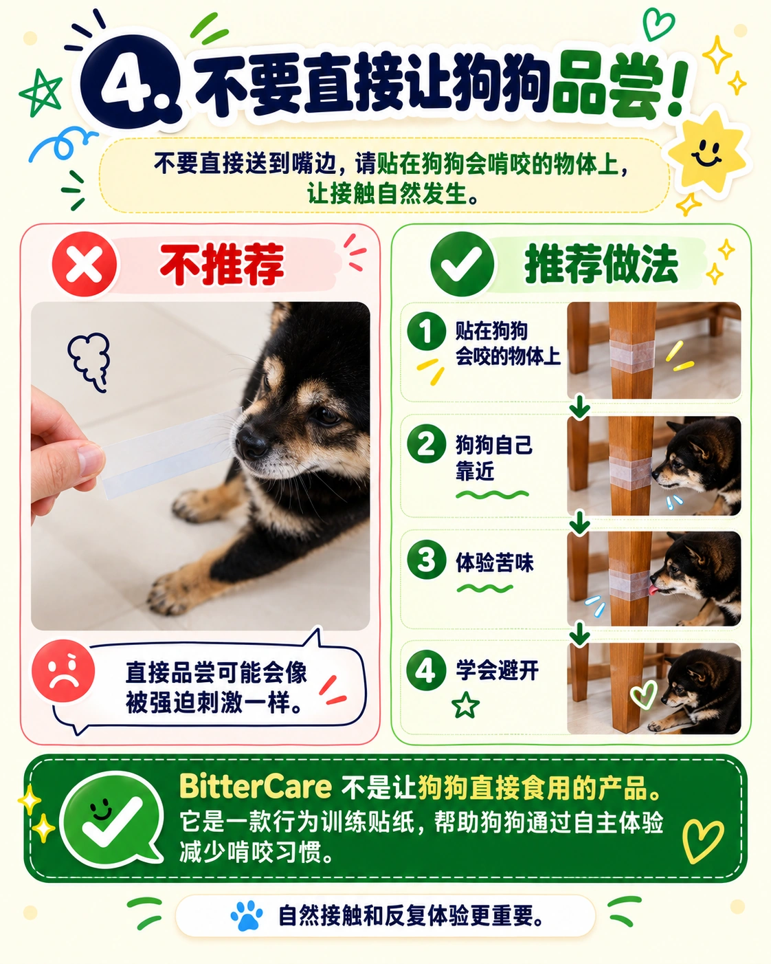 不要让狗狗直接品尝